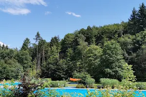 Waldschwimmbad Holzhausen am Hünstein image