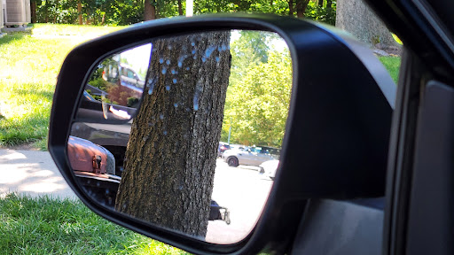 Car Wash «White Horse Auto Wash», reviews and photos, 15705 Jefferson Davis Hwy, Woodbridge, VA 22191, USA