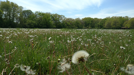 State Park «Brezina Woods», reviews and photos, N La Grange Rd, La Grange Park, IL 60526, USA