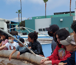 UABC School of Marine Sciences photo