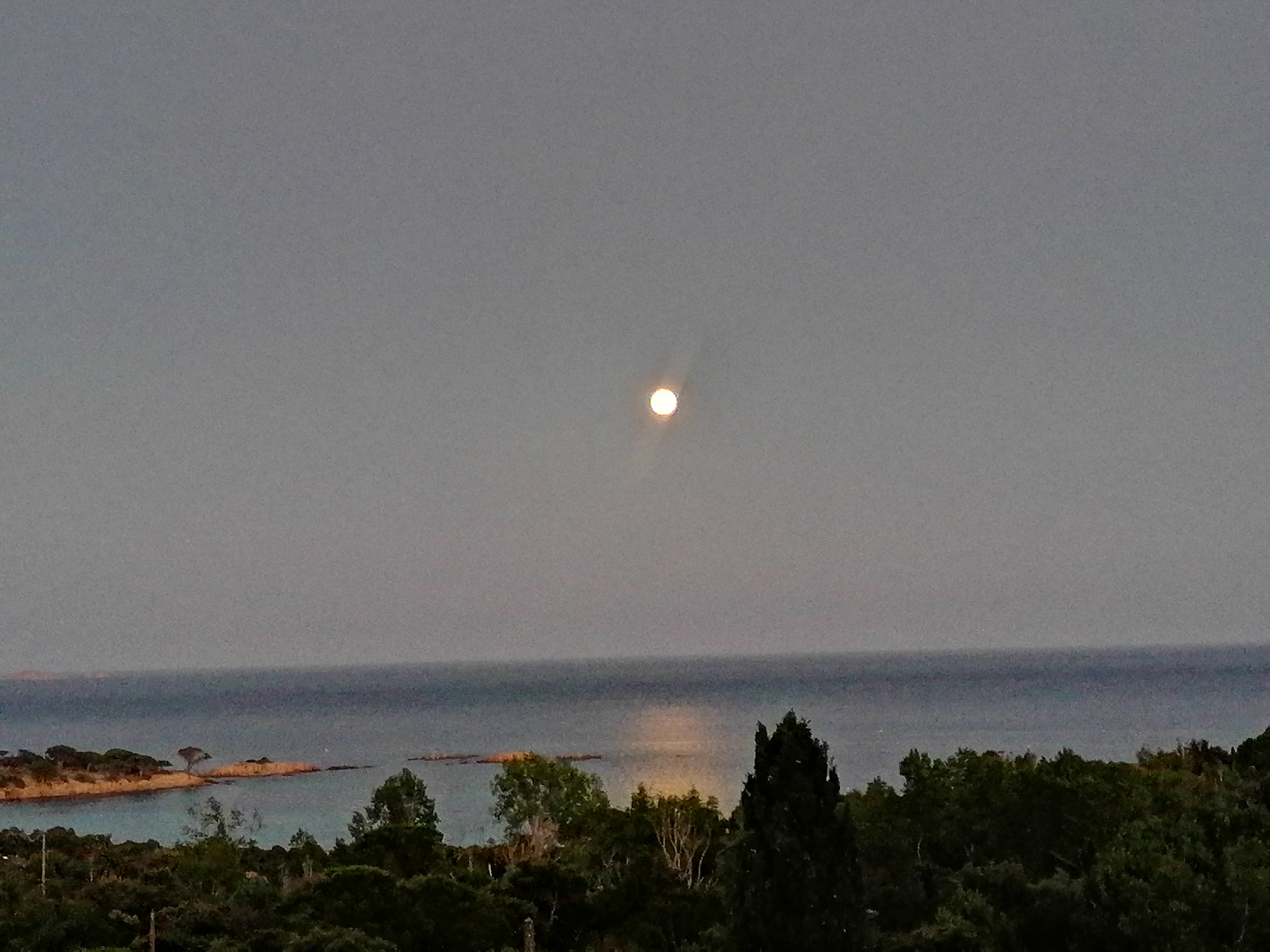 Photo n° 2 de l'avis de Dominico.a fait le 05/07/2023 à 05:27