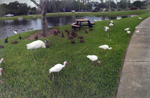 Park «George C. McGough Nature Park - The Narrows», reviews and photos, 11901 146th St N, Largo, FL 33774, USA