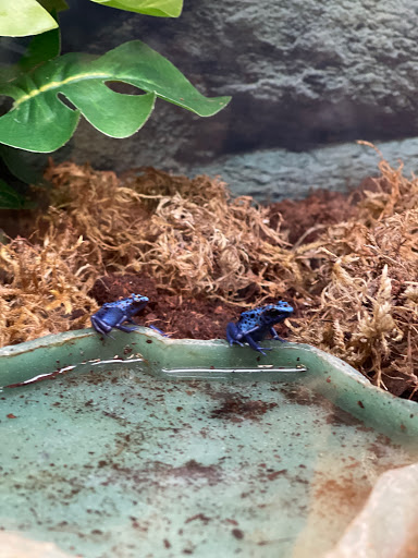 Pet Supply Store «Petco Animal Supplies», reviews and photos, 1 US-46, Totowa, NJ 07512, USA