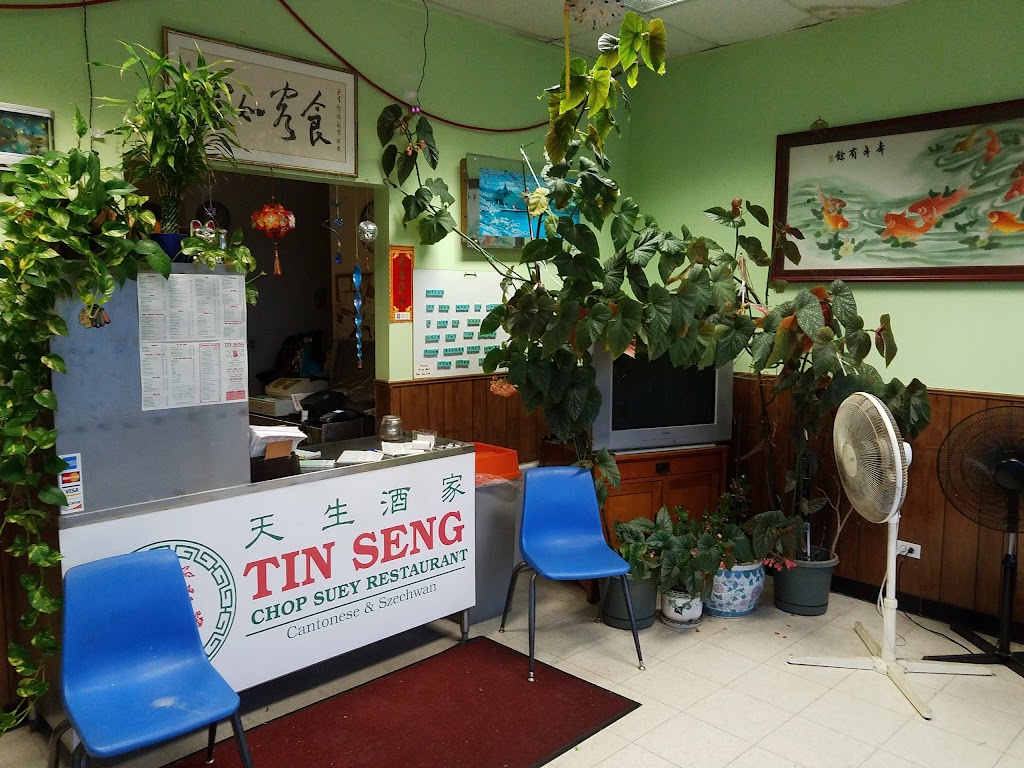 Tin Seng Chop Suey Restaurant 60067