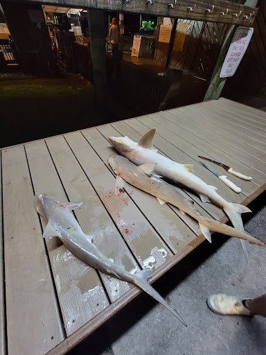 Fishing Charter «Obsession Fishing Charters», reviews and photos, 505 Glen Cheek Dr, Cape Canaveral, FL 32920, USA