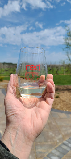 Winery «Red Top Winery», reviews and photos, 482 E Snow Rd, Baroda, MI 49101, USA