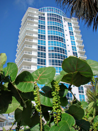 Liquor Store «Primo Liquor & Market», reviews and photos, 3801 Collins Ave, Miami Beach, FL 33140, USA