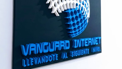 Vanguard Internet