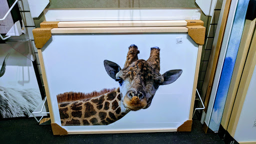 Department Store «Marshalls», reviews and photos, 10025 N Michigan Rd #100, Carmel, IN 46032, USA