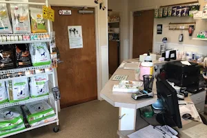 New Ross Veterinary Services image