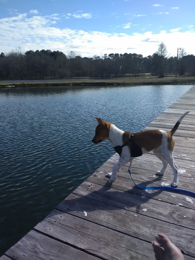 Public Golf Course «Lagoon Park Golf Course», reviews and photos, 2855 Lagoon Park Dr, Montgomery, AL 36109, USA