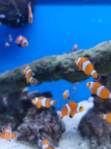 Pet Store «Pets Plus Inc», reviews and photos, 2610 Jefferson Davis Hwy, Stafford, VA 22554, USA