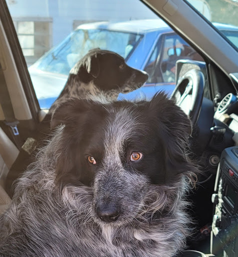 Auto Repair Shop «Lighthouse Automotive», reviews and photos, 2499 E Platte Ave, Colorado Springs, CO 80909, USA