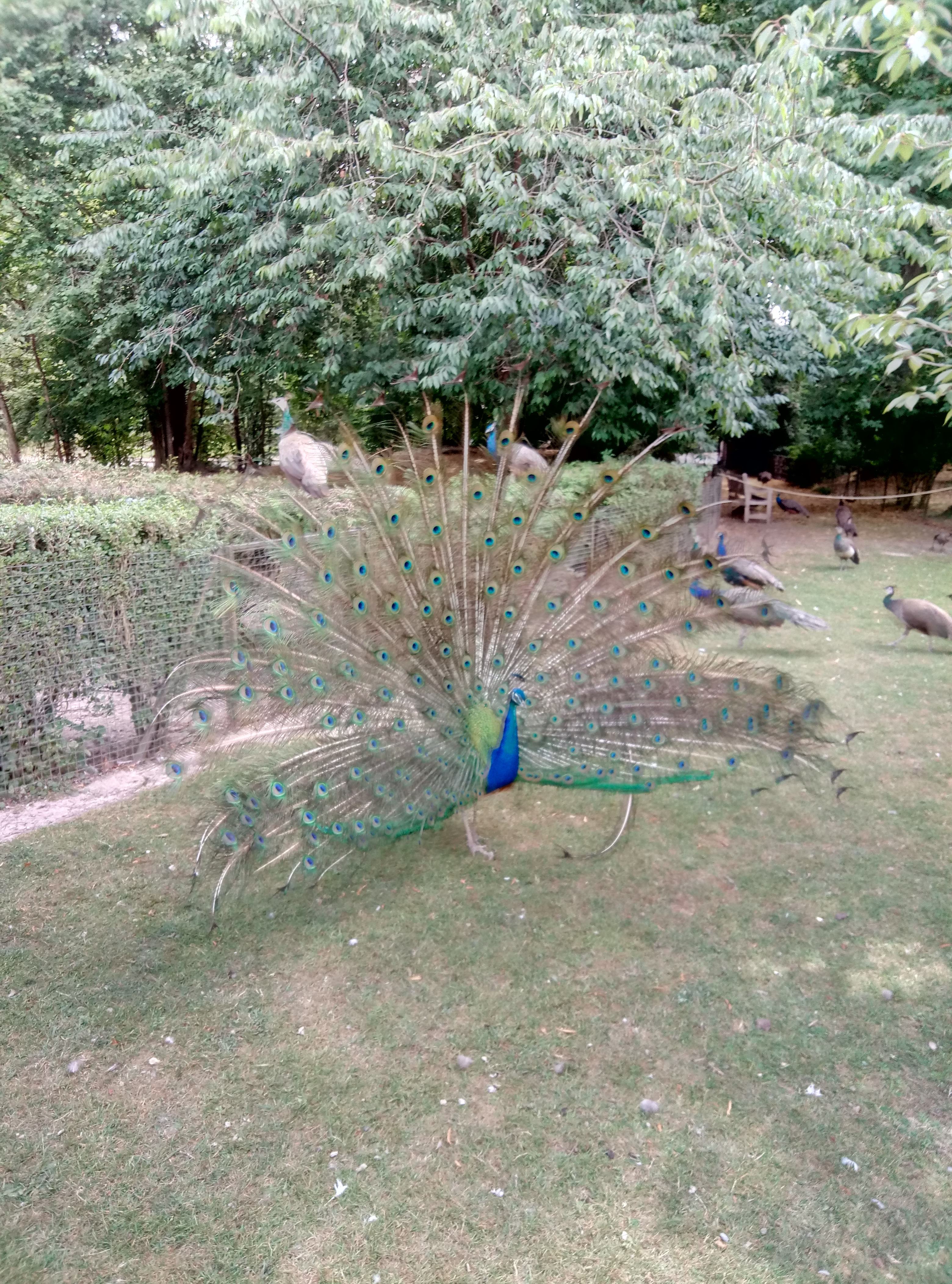 Photo n° 4 de l'avis de Patricia.e fait le 19/07/2019 à 21:12