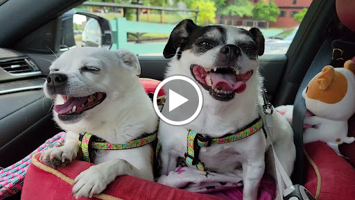 Distillery «Buffalo Trace Distillery», reviews and photos, 113 Great Buffalo Trace, Frankfort, KY 40601, USA