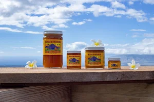 Maui Bees Farm image