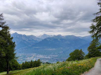 Forêt de la Meina