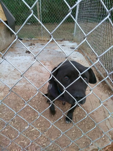 Thrift Store «Goodwill of North Georgia: Griffin Store and Donation Center», reviews and photos