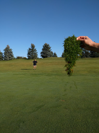 Golf Club «Hickory Creek Golf Course», reviews and photos, 3625 Napier Road, Superior Charter Twp, MI 48198, USA