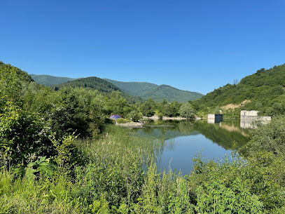 Водосховище недобудованої ГЕС на річці Стрий