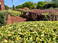 Southern Bay Turf Management - Photo 8 - Car repair in Lakeland, FL, Lakeland
