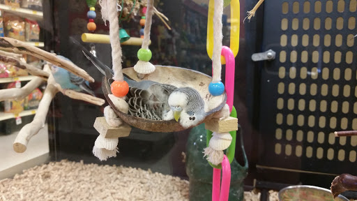 Pet Supply Store «PetSmart», reviews and photos, 9870 Brook Rd, Glen Allen, VA 23059, USA