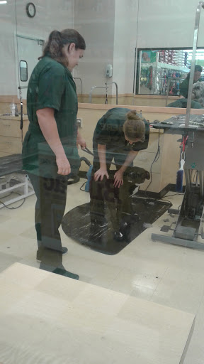 Pet Supply Store «Pet Supplies Plus», reviews and photos, 2424 W State St, Alliance, OH 44601, USA