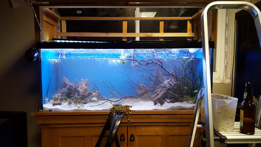 Tropical Fish Store «America Aquaria», reviews and photos, 3485 N 124th St, Brookfield, WI 53005, USA