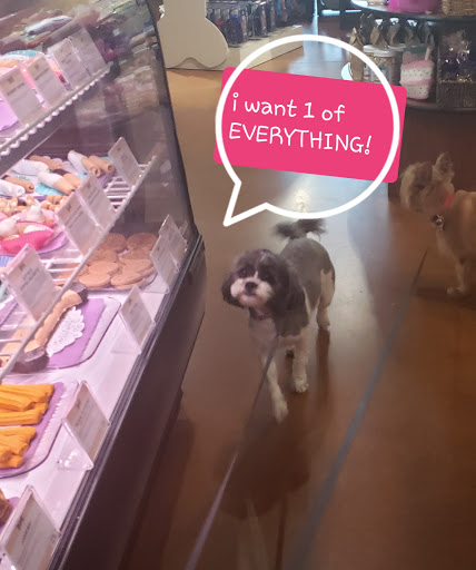 Pet Store «Three Dog Bakery», reviews and photos, 1556 W McEwen Dr #112, Franklin, TN 37067, USA