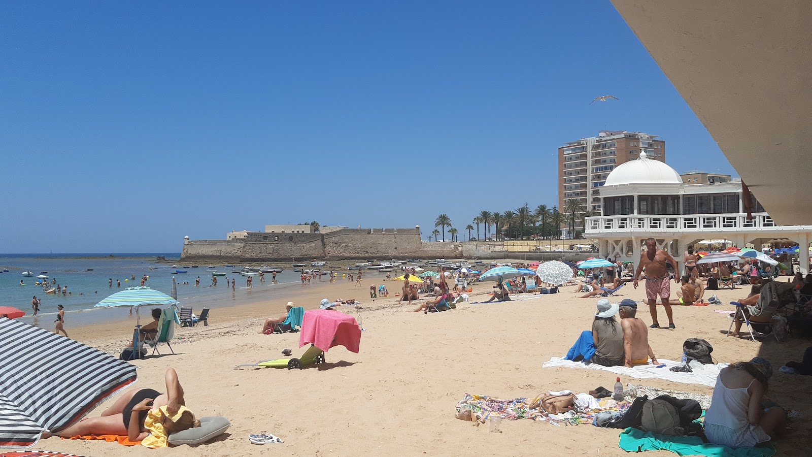 Playa La Caleta Cadiz photo #8