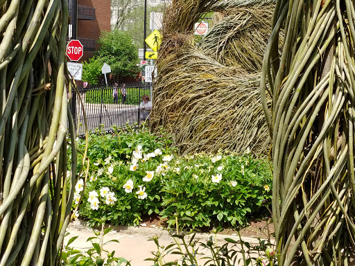 Art Museum «Taft Museum of Art», reviews and photos, 316 Pike St, Cincinnati, OH 45202, USA