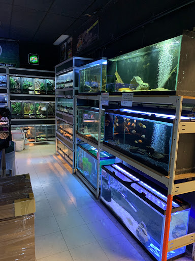 Tropical Fish Store «Animal House Pet Shop», reviews and photos, 358 Warner Milne Rd #110, Oregon City, OR 97045, USA