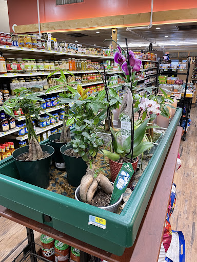 Grocery Store «Country Market», reviews and photos, 900 Moraine Ave, Estes Park, CO 80517, USA