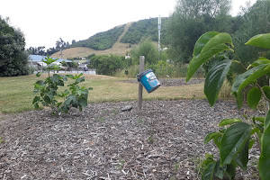 Te Ata Park Community Fruit Garden