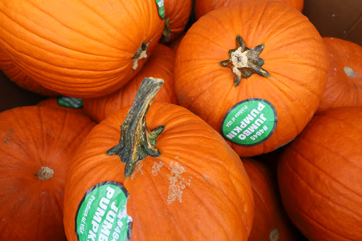 Grocery Store «Food Lion», reviews and photos, 501 W Main St, Middletown, DE 19709, USA