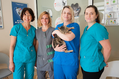 Clinique Vétérinaire du Ray - Dr NGUYEN Lan, Dr POITRENAUD Caroline, Dr JUST Marie - Nice à Nice