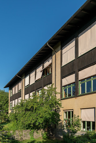 Rezensionen über Schule Triemli in Zürich - Schule