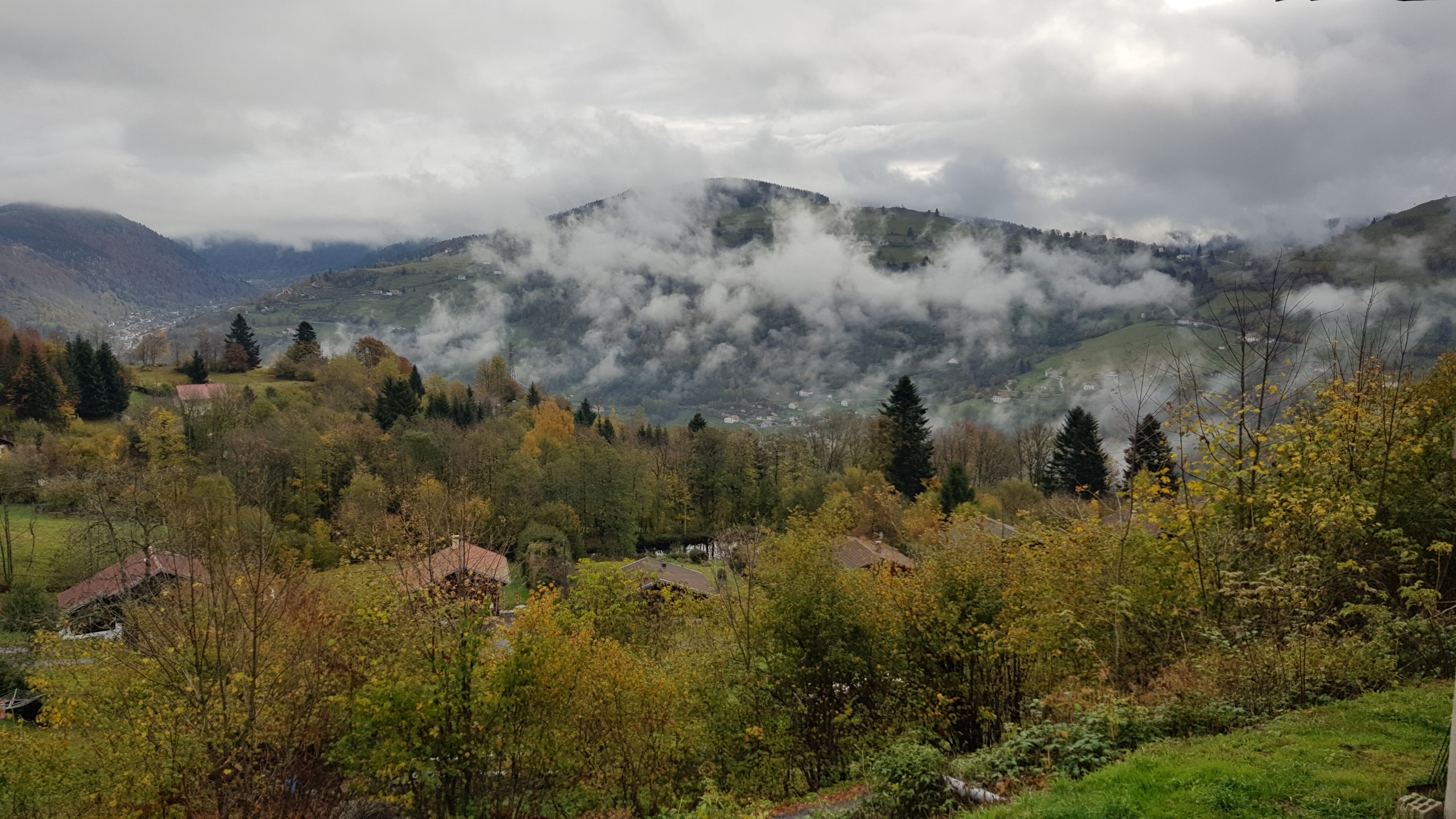 Photo n° 1 de l'avis de jd. fait le 04/12/2019 à 08:03