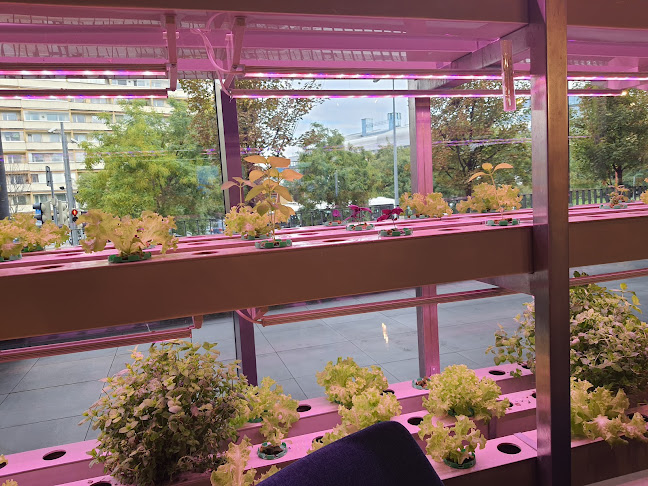 Komentáře a recenze na Magenta Experience Center