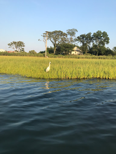 Nature Preserve «James Farm Ecological Preserve», reviews and photos, 30048 Cedar Neck Rd, Ocean View, DE 19970, USA