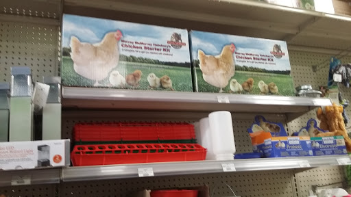 Home Improvement Store «Northwest True Value», reviews and photos, 3647 Brambleton Ave, Roanoke, VA 24018, USA