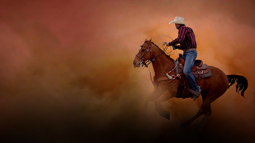 Little B Barn, 155 Westchester Rd # 1, Colchester, CT 06415, USA, 