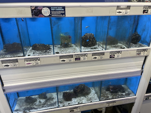 Pet Supply Store «Petco Animal Supplies», reviews and photos, 3452 W Chandler Blvd, Chandler, AZ 85226, USA