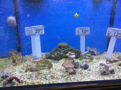 Pet Supply Store «Petco Animal Supplies», reviews and photos, 7040 Valley Creek Plaza, Woodbury, MN 55125, USA