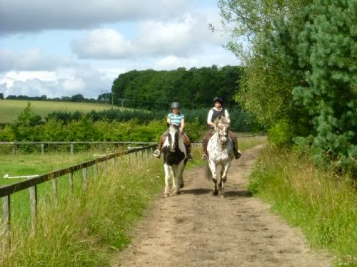 Reviews of Low Meadows Equestrian Centre in Durham - School