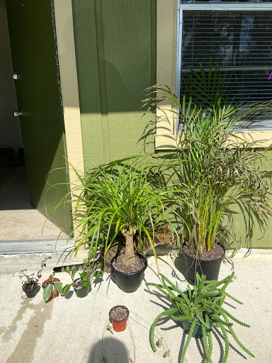 Hardware Store «Ace Handiman Hardware», reviews and photos, 705 N Atlantic Ave, Cocoa Beach, FL 32931, USA