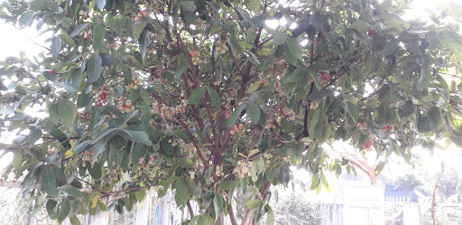 Top 20 cửa hàng thông minh Thị xã Bà Rịa Bà Rịa Vũng Tàu 2022