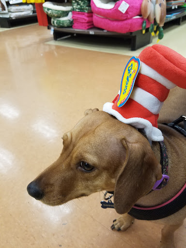 Pet Supply Store «Petco Animal Supplies», reviews and photos, 15660 SW Pacific Hwy, Tigard, OR 97224, USA