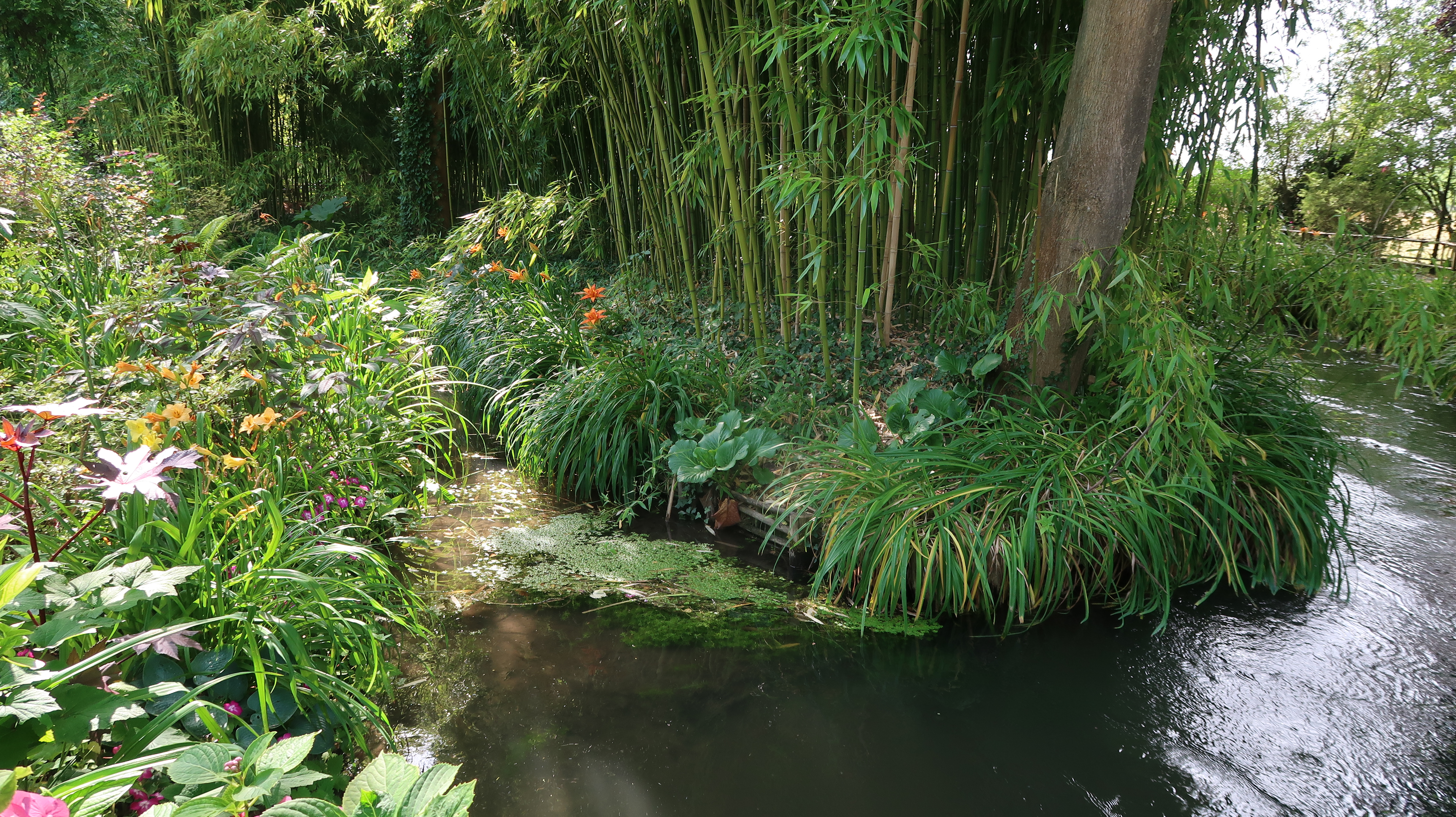 Photo n° 7 de l'avis de Sevi.n fait le 07/07/2020 à 18:33