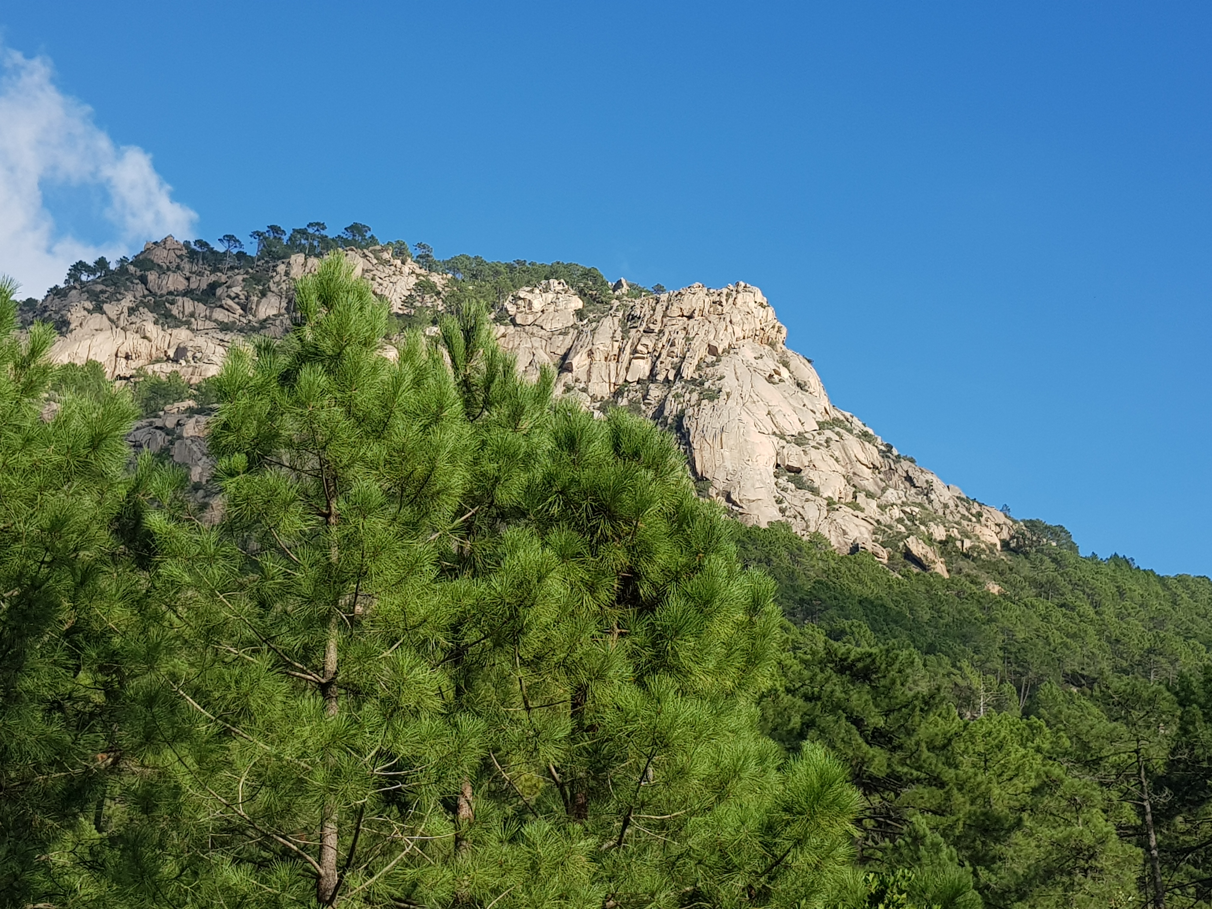 Photo n° 2 de l'avis de le.l fait le 25/10/2019 à 19:47